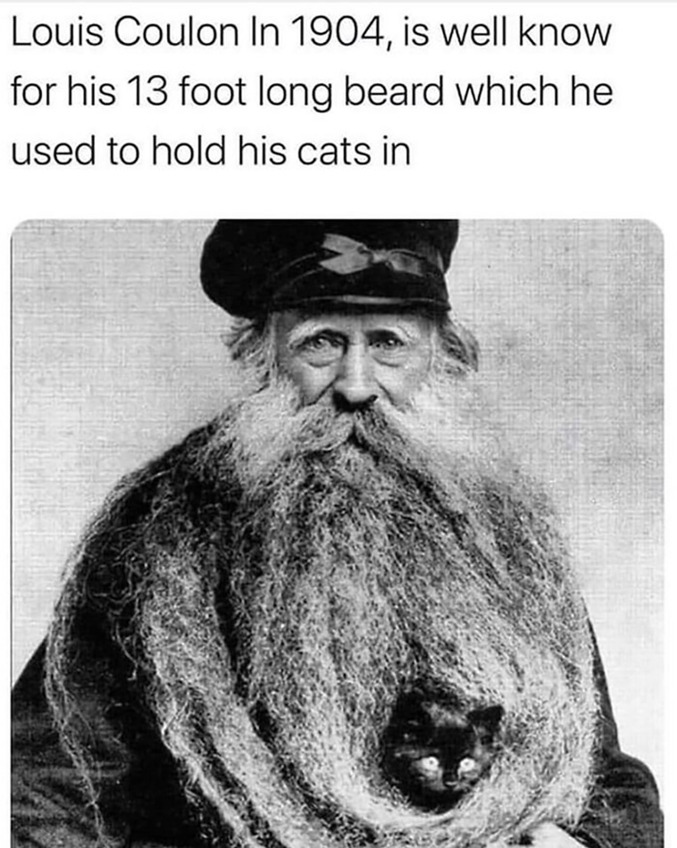 absolute unit