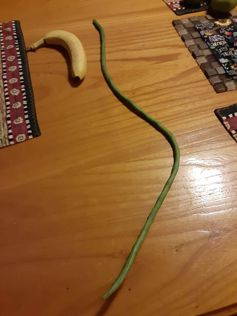 absolute unit