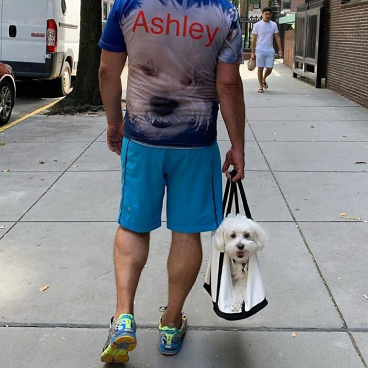 bagdogs