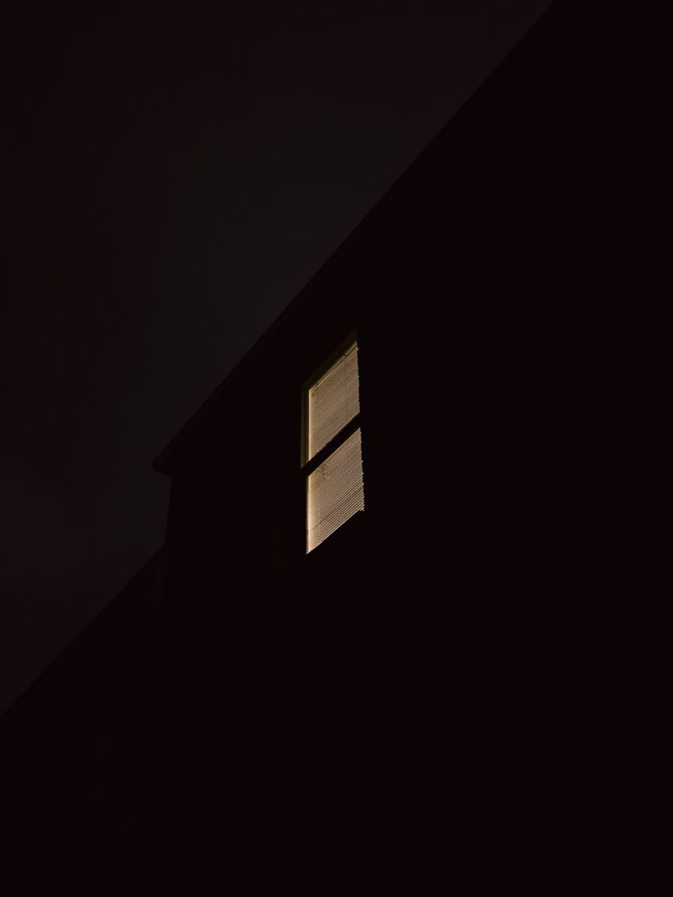 burglars