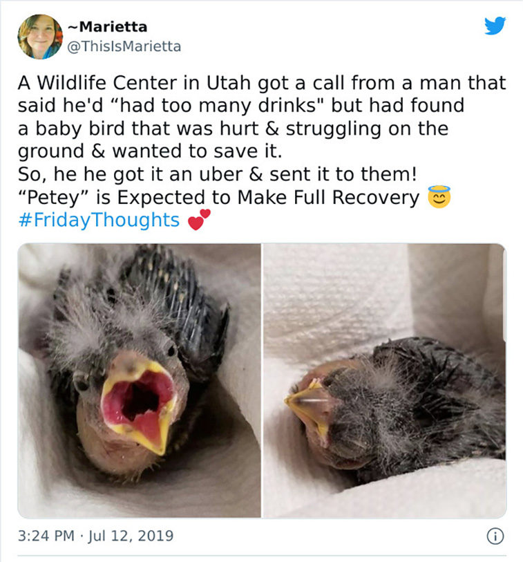 chaotic good
