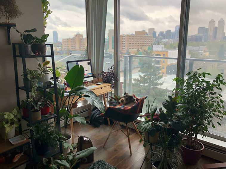 living places