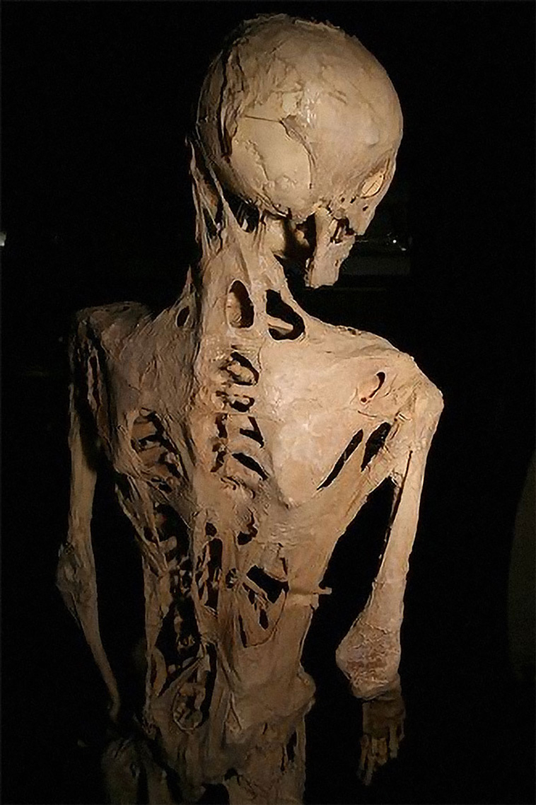 creepy facts