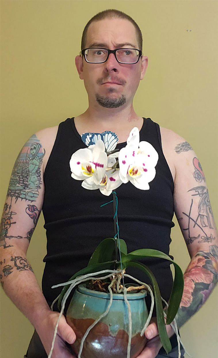 houseplants