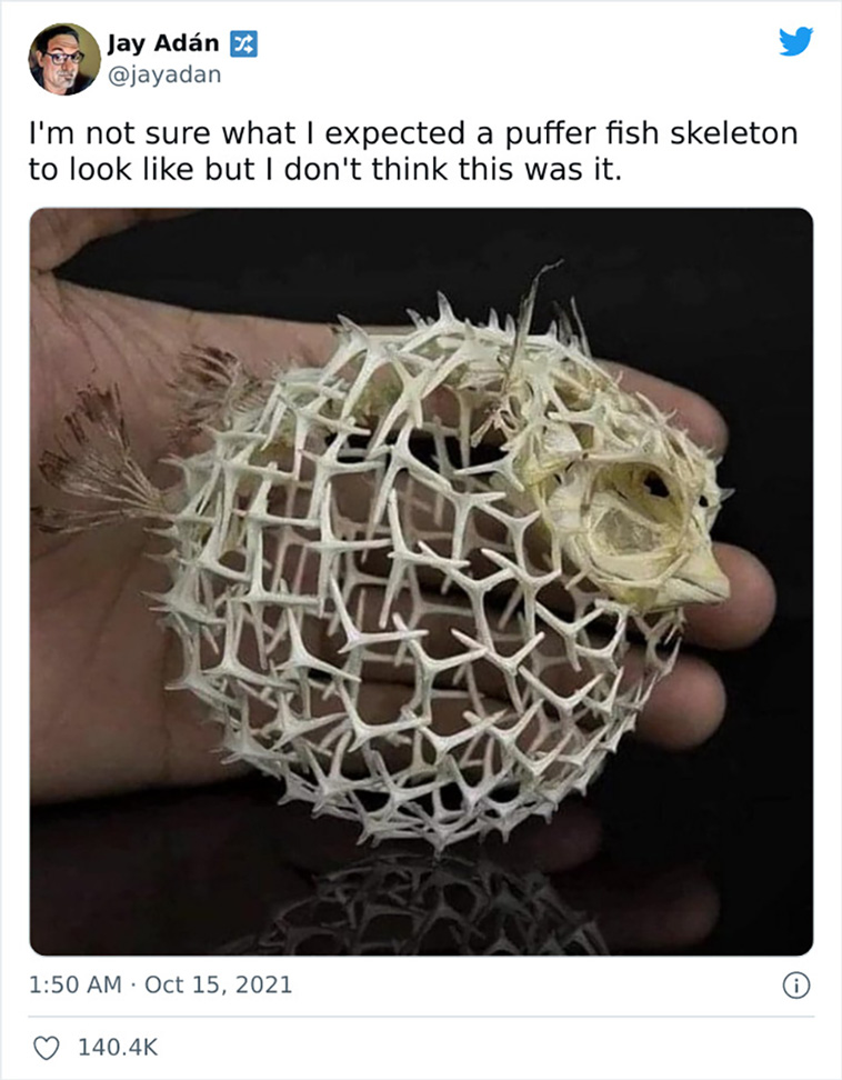 bad science jokes