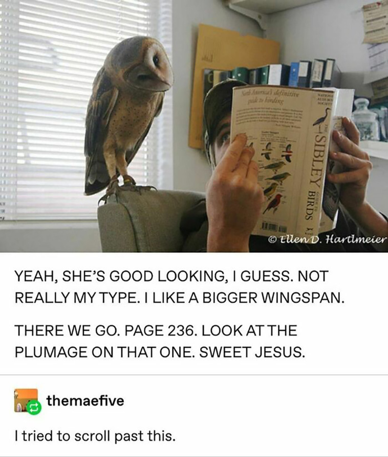 bad science jokes