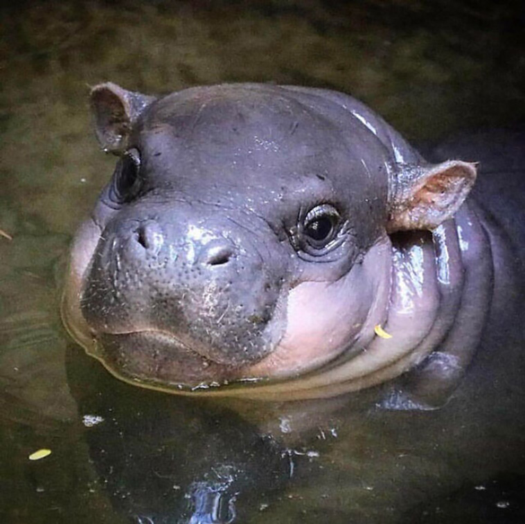 tiny units