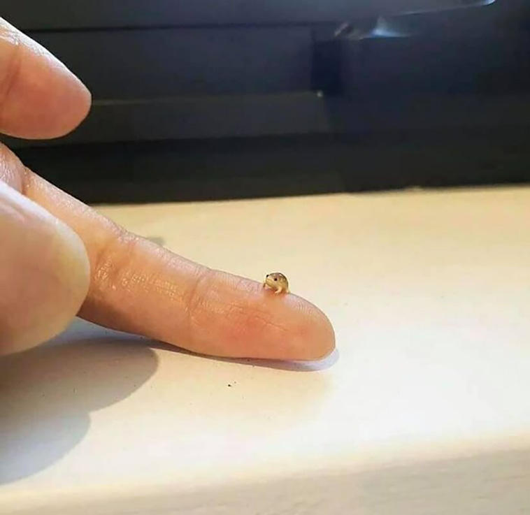 tiny units