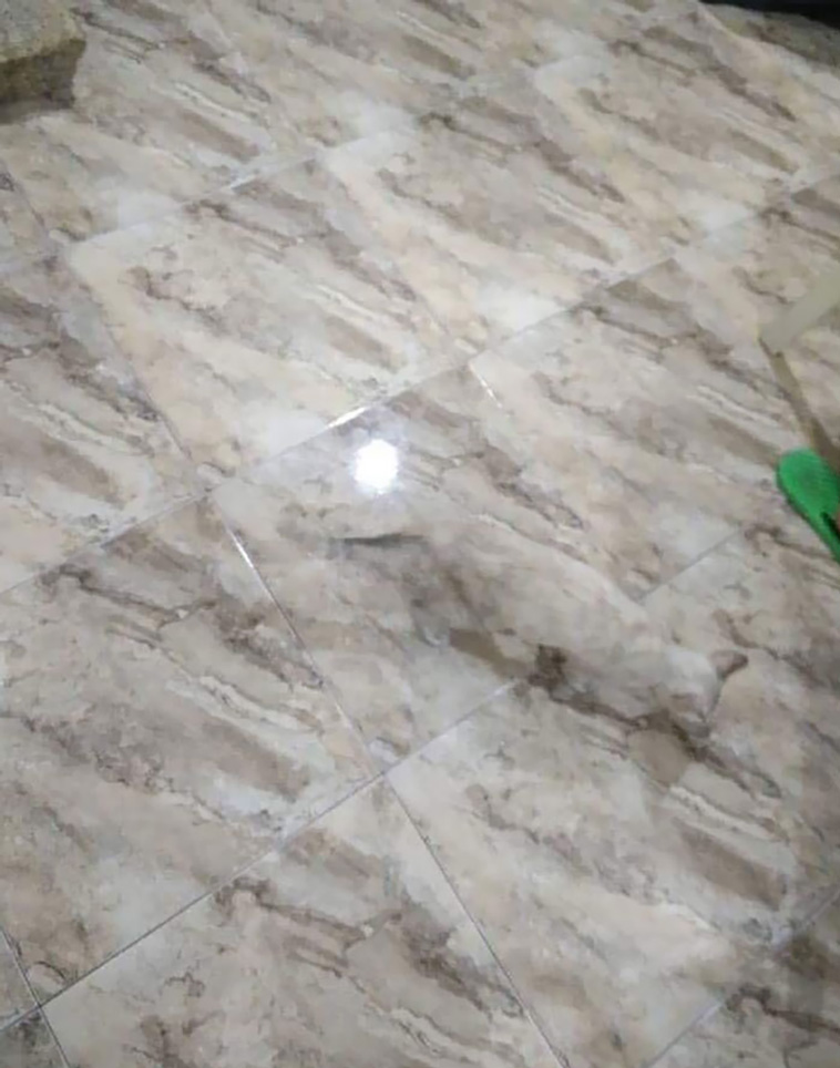 accidental camouflage