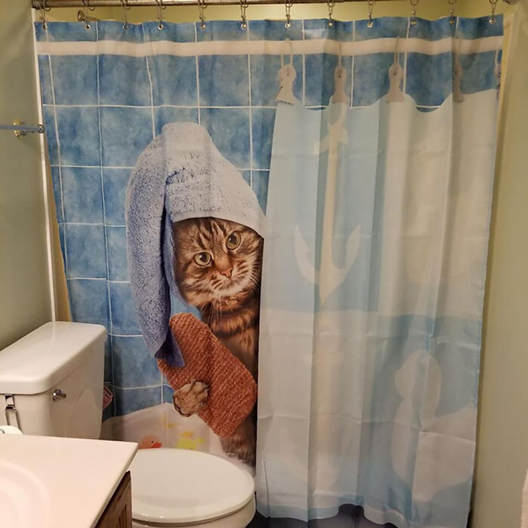 shower curtains