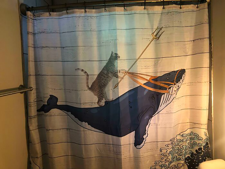 shower curtains