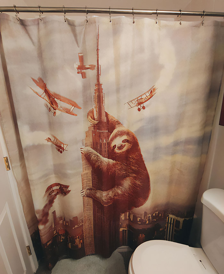 shower curtains