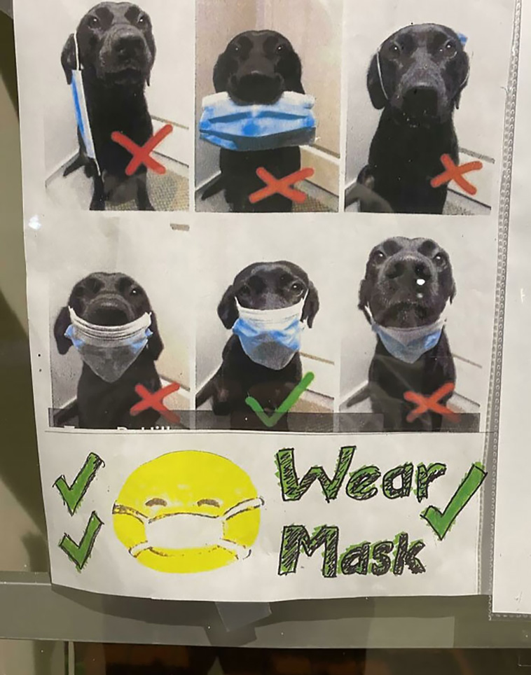 healthcare workers