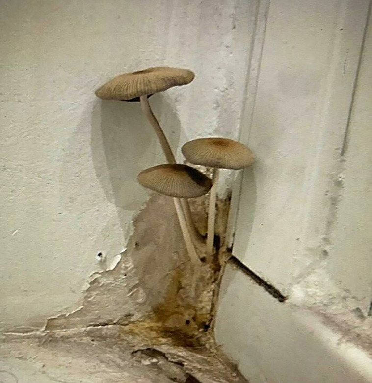 real estate fails