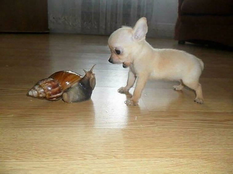 weird photos