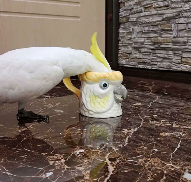 inception
