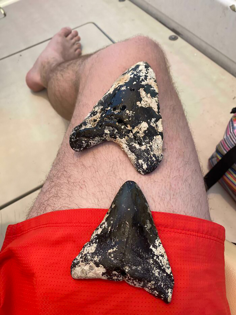 mildly interesting