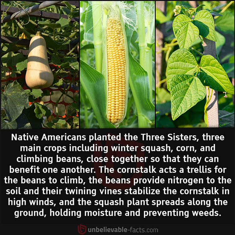 unbelievable facts