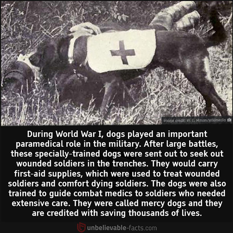 unbelievable facts