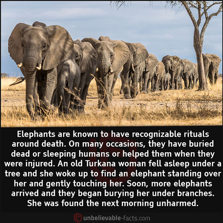 unbelievable facts