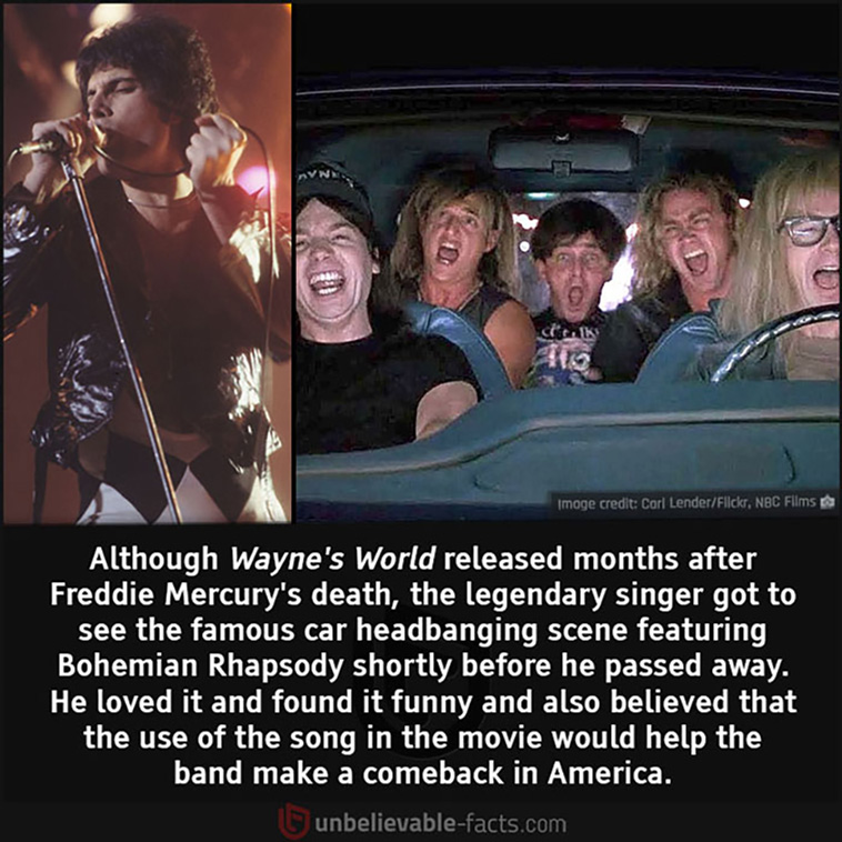 unbelievable facts