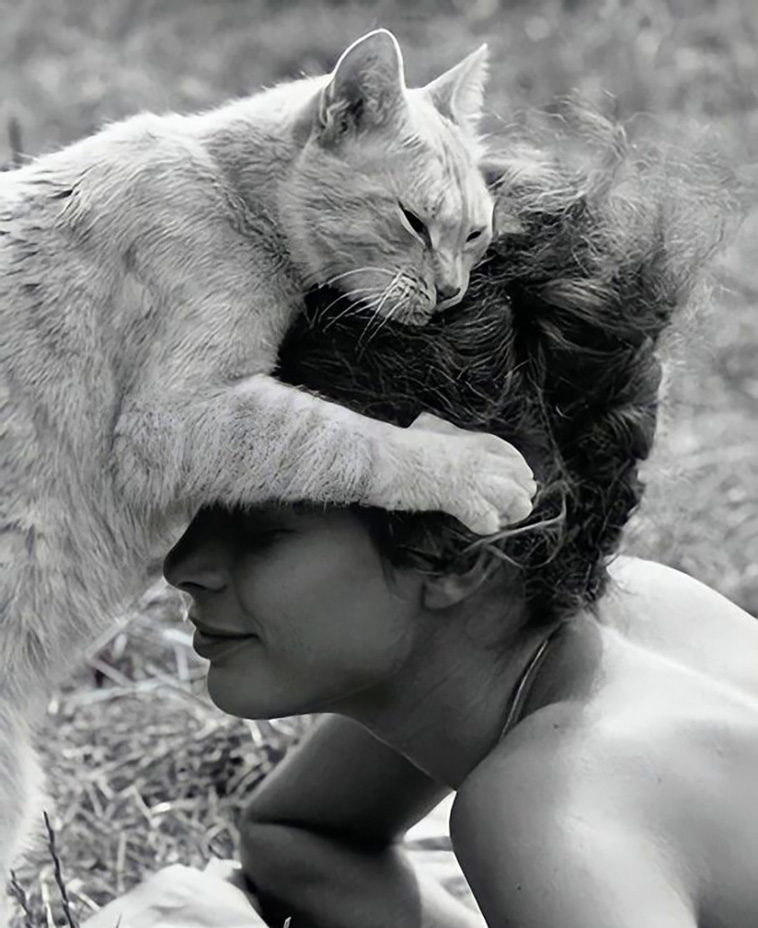 celebrities with cats