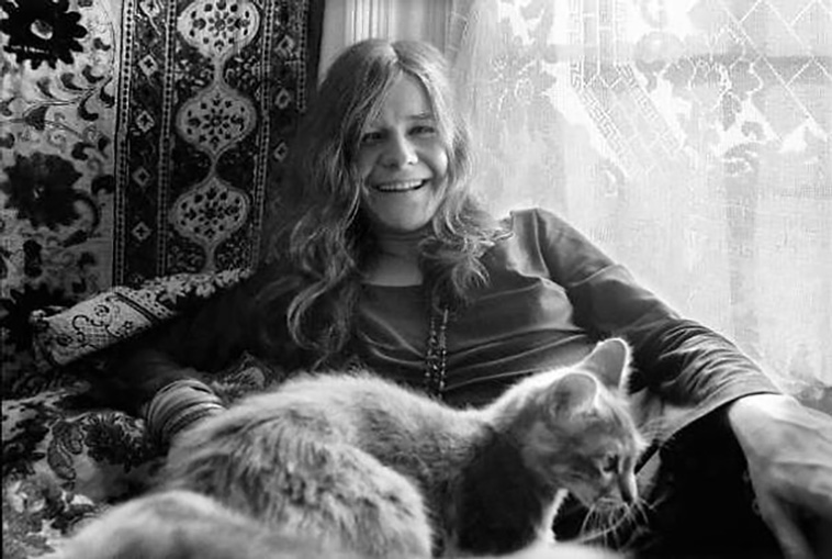 celebrities with cats