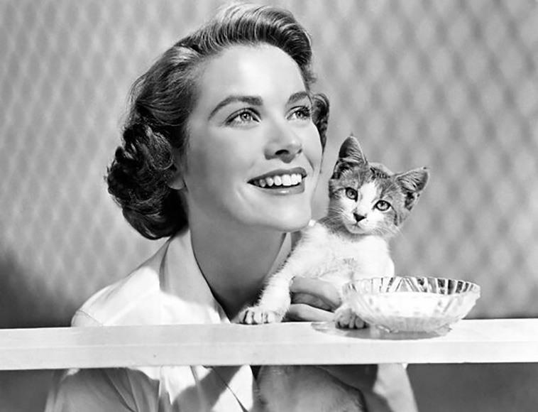 celebrities with cats