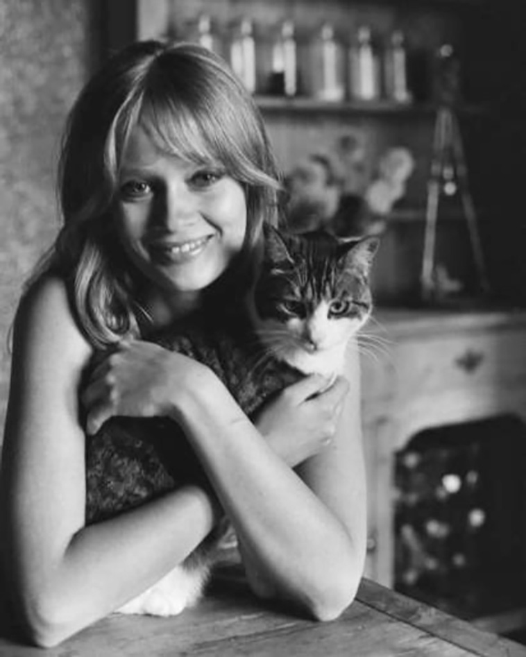 cats with celebrities