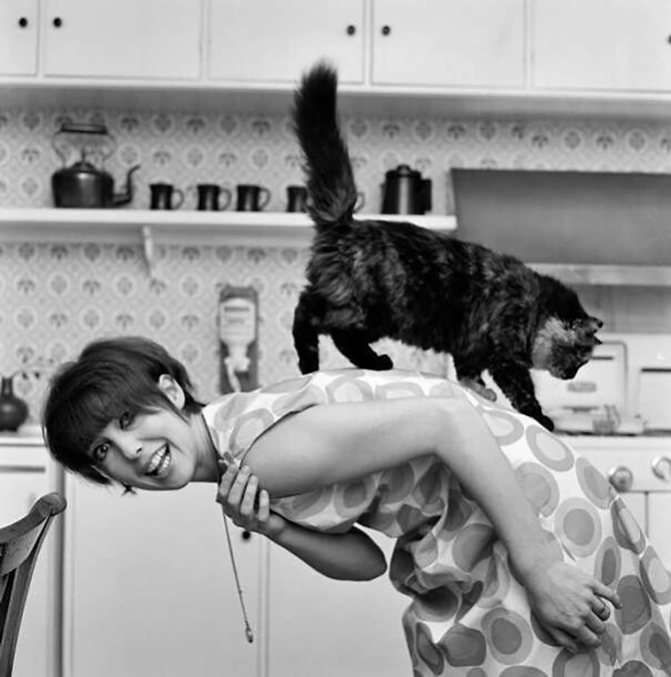 celebrities with cats