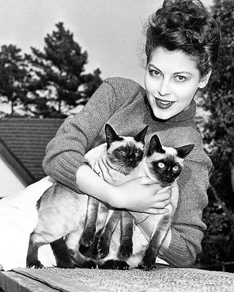 celebrities with cats