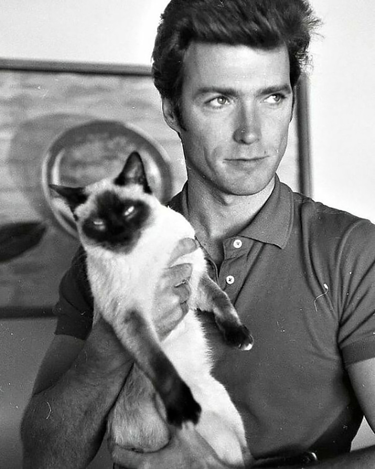 celebrities with cats
