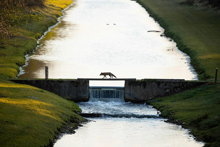 nature photographer