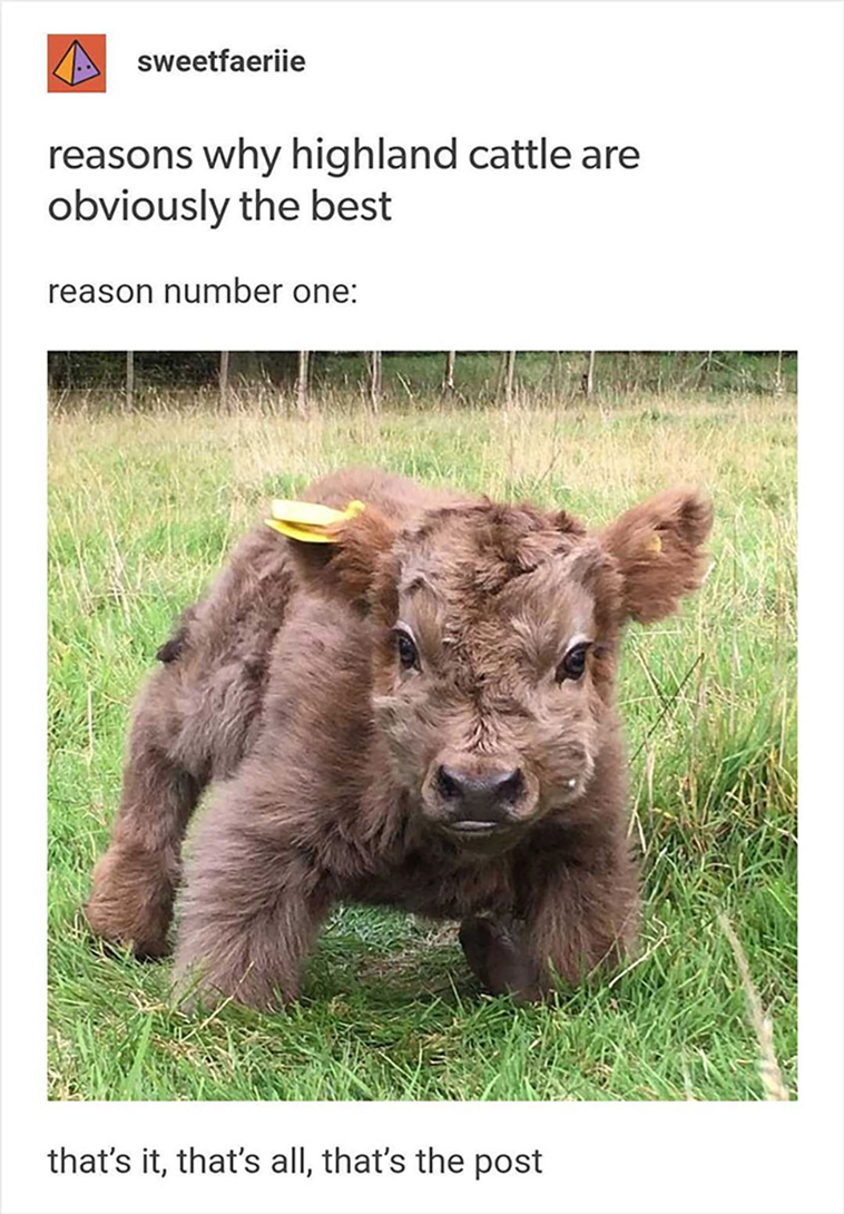 blessed pics
