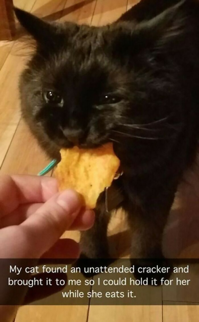 blessed pics