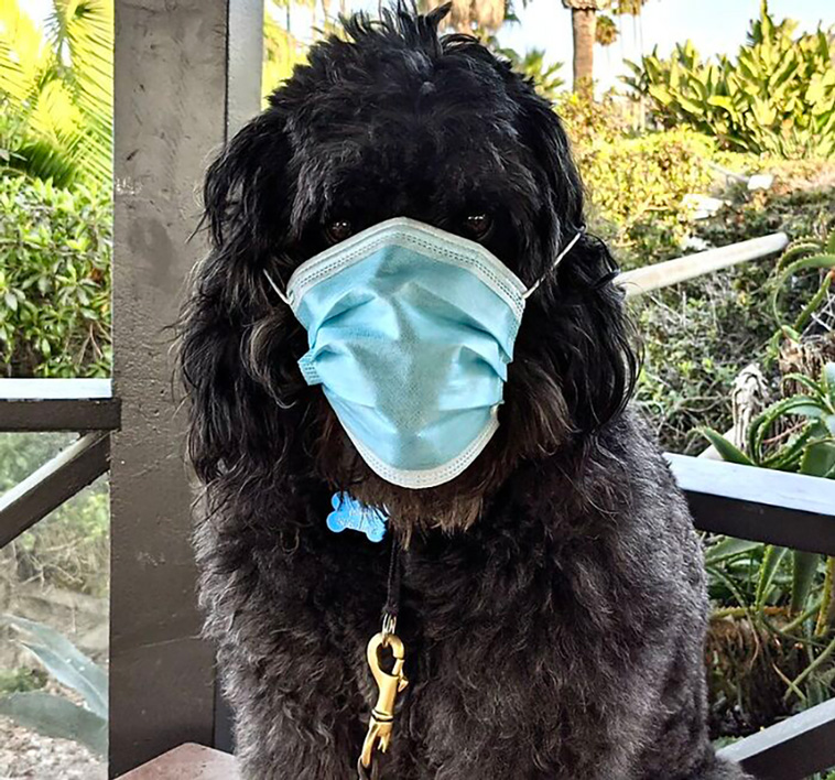 wearing mask