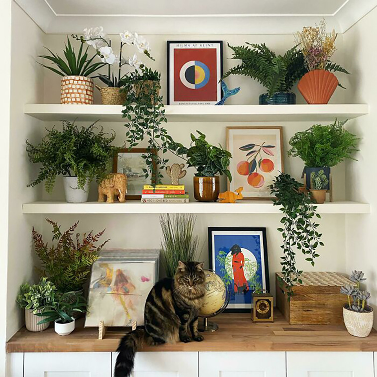 home decoration