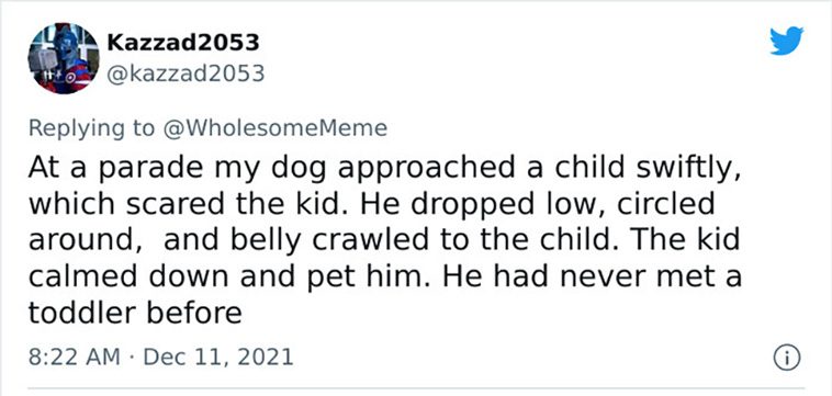 intelligent