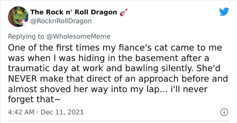 intelligent
