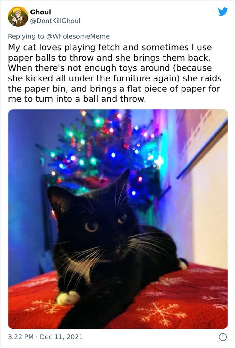 intelligent