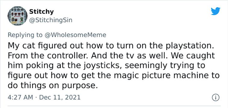 intelligent