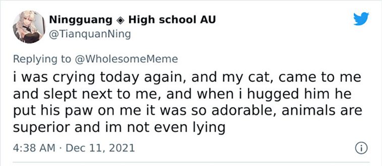 intelligent
