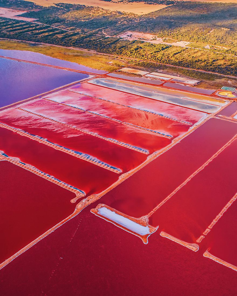 pink lagoon