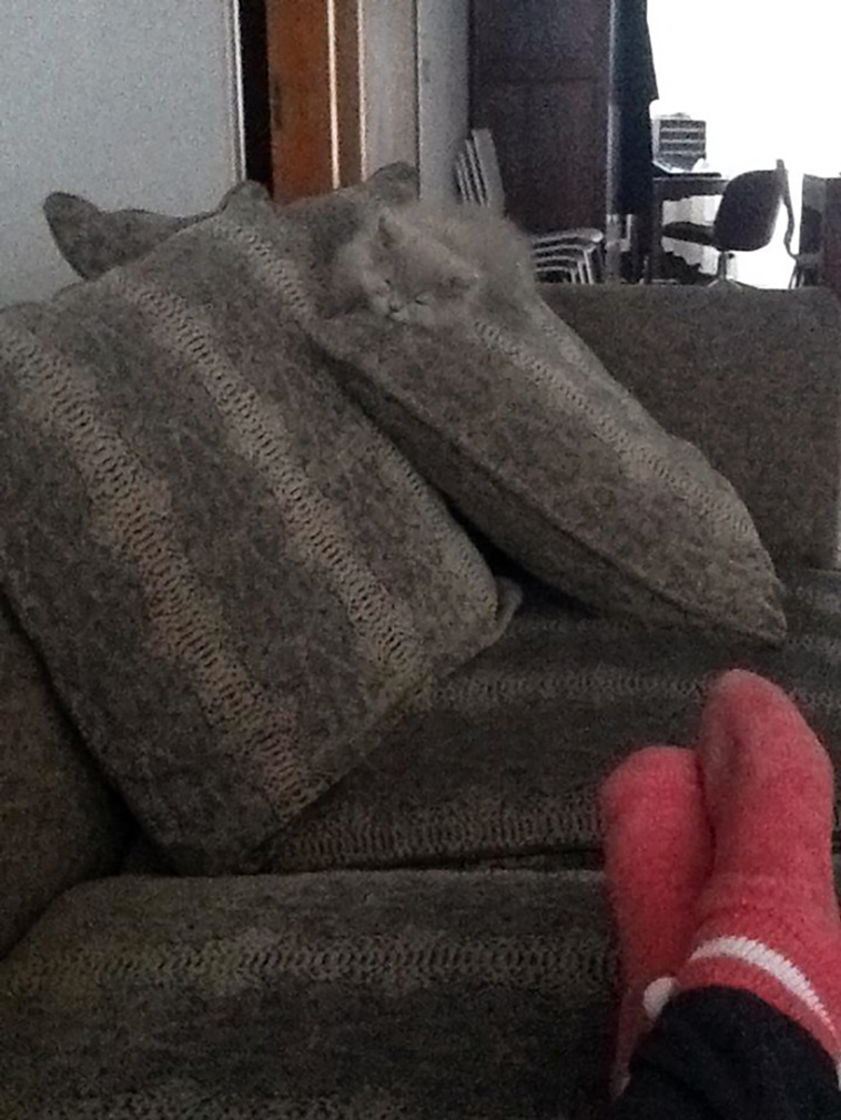 hiding