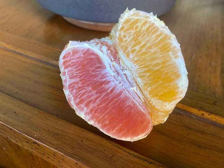 mildly interesting