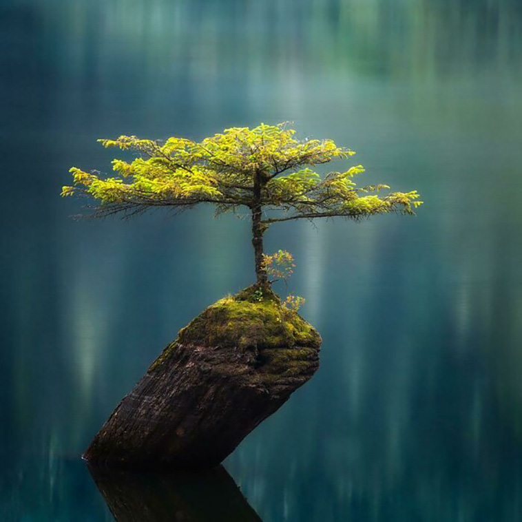beautiful things