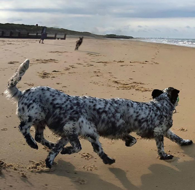 panorama fails