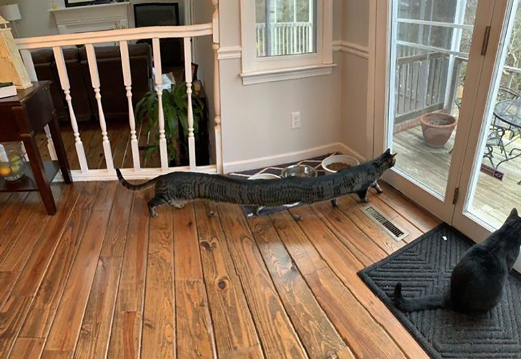 panorama fails