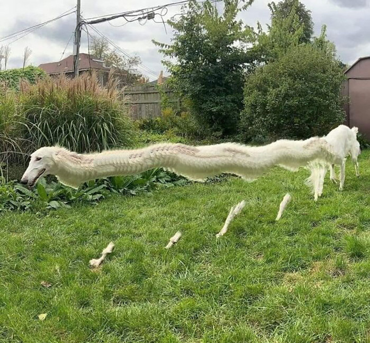 panorama fails