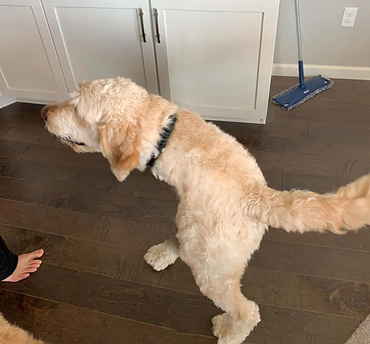 panorama fails